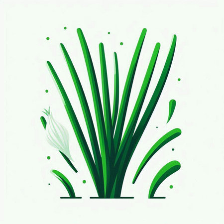 Illustration of a green grass on a white background. Vector illustrationのイラスト素材