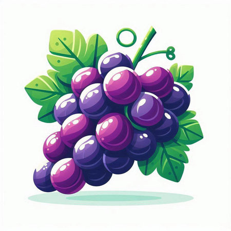 Grapes isolated on white background. Vector illustration of grapes.のイラスト素材