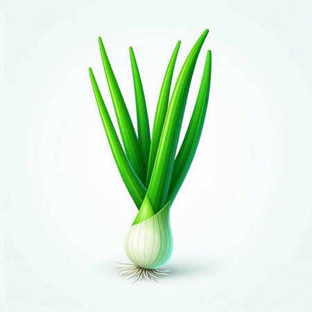 Fresh green onion isolated on white background. Realistic vector illustration.のイラスト素材