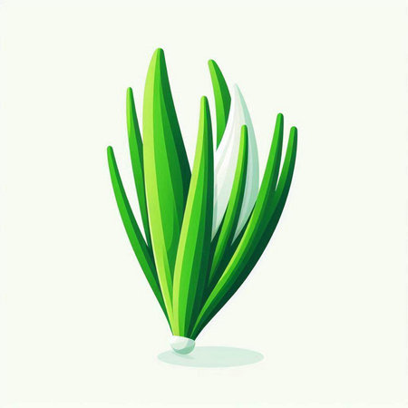 Vector illustration of fresh green onion. Isolated on white background.のイラスト素材