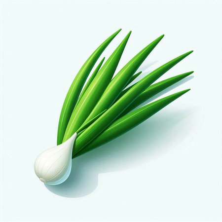 Fresh spring onion isolated on white background. Vector illustration. Eps 10.のイラスト素材