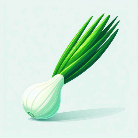 Illustration of green onion on a white background. Vector illustration.のイラスト素材
