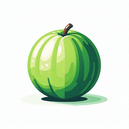 Illustration of a watermelon on a white background, vector illustrationのイラスト素材