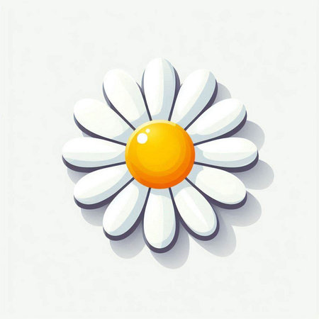 chamomile icon on white background. Eps 10 vector file.のイラスト素材
