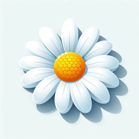 White daisy with yellow flower on blue background. Vector illustration.のイラスト素材