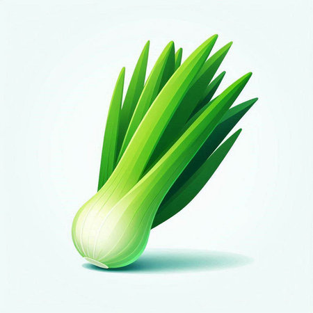 Illustration of fresh green onion on white background, vector illustration.のイラスト素材