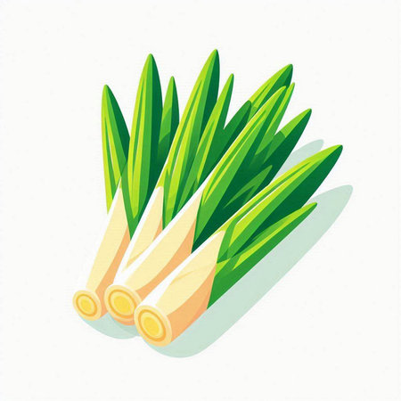 Vector illustration of fresh green leek isolated on white background. Flat style.のイラスト素材