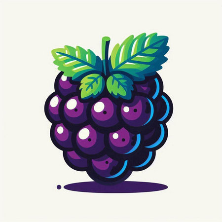 Vector illustration of a bunch of blackberries. Isolated on white background.のイラスト素材