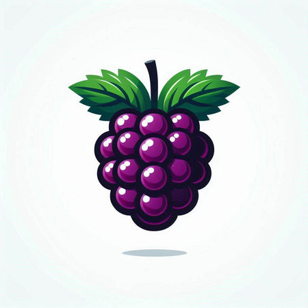 Vector illustration of blackberry. Isolated on a white background.のイラスト素材