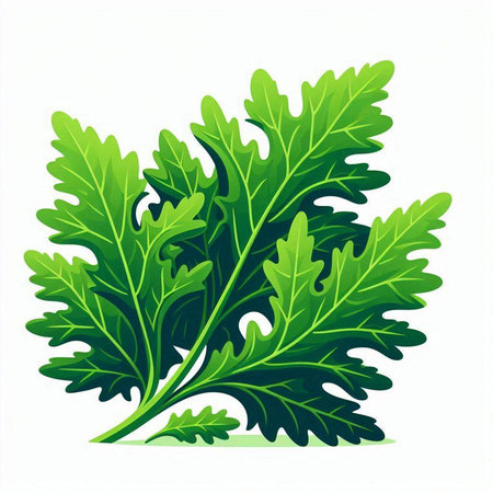 Fresh green arugula leaves isolated on white background. Vector illustration.のイラスト素材