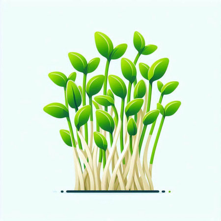 Microgreens. Vector illustration of fresh green sprouts on white background.のイラスト素材