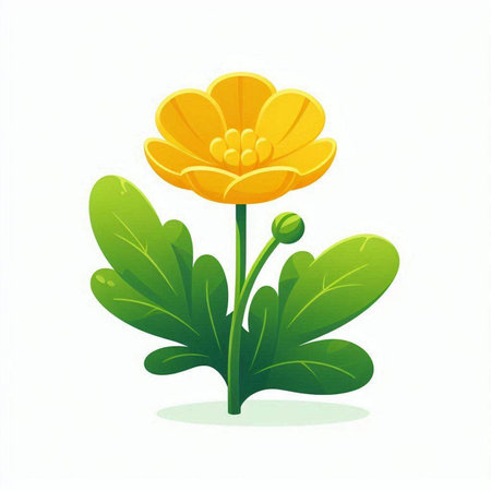 Cute yellow flower with green leaves isolated on white background. Vector illustration.のイラスト素材
