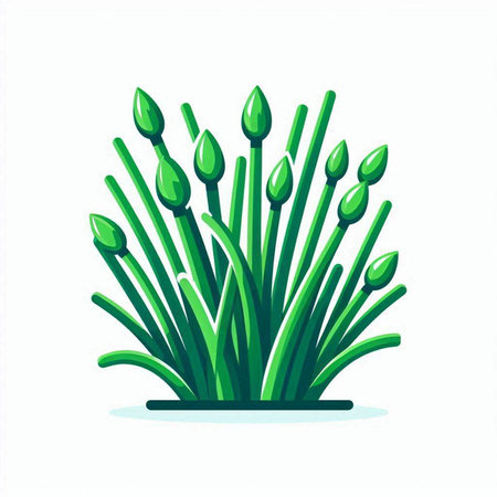 vector illustration of green onion isolated on a white background. vector illustrationのイラスト素材