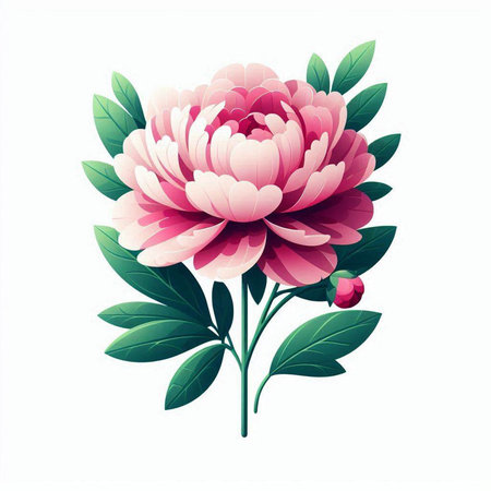 Peony flower with leaves isolated on white background. Vector illustration.のイラスト素材