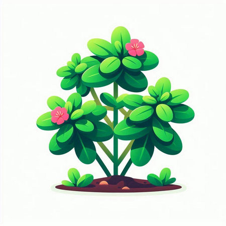 Illustration of a green plant with flowers on a white background.のイラスト素材