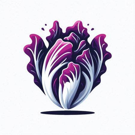 Purple cabbage. Vector illustration on white background. Vegetarian food.のイラスト素材