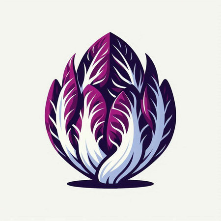 purple cabbage icon over white background, colorful design. vector illustrationのイラスト素材