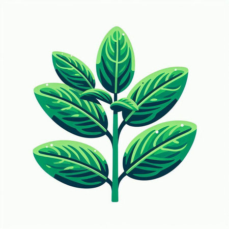 Green leaf on a white background. Vector illustration. Eps 10.のイラスト素材