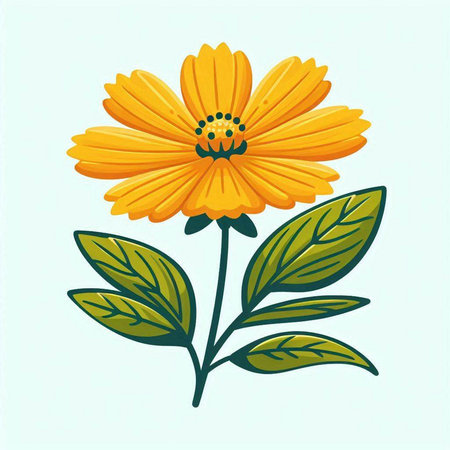 Daisy flower. Vector illustration. Isolated on white background.のイラスト素材