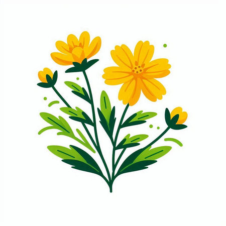 Beautiful yellow flowers isolated on a white background. Vector illustration.のイラスト素材