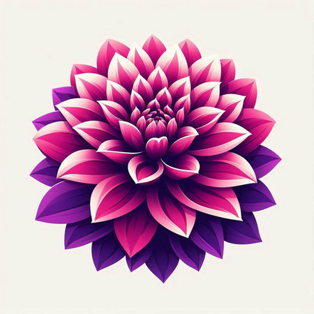 Beautiful pink dahlia flower on white background. Vector illustration.のイラスト素材