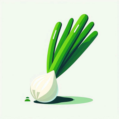Illustration of a green onion on a white background. Vector illustrationのイラスト素材