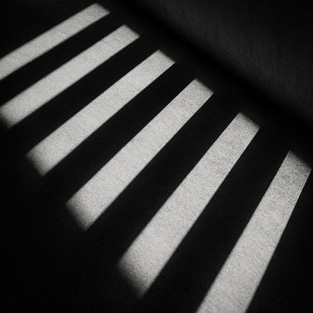 shadow on the wall, black and white tone, monochrome