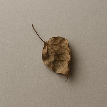 Autumn dry leaf on gray background. Flat lay, top view