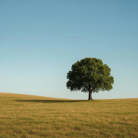 Lonely tree on a meadow with grass and blue sky