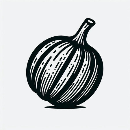 Illustration of a black and white fig on a light background.の写真素材