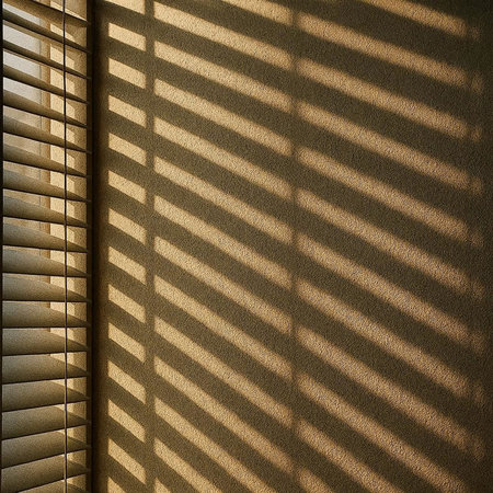 sunlight through the blinds on the wall in the rays of light