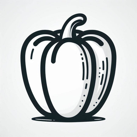 Bell pepper vector icon. Hand drawn illustration of bell pepper isolated on white background.の写真素材