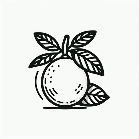 Orange fruit icon. Hand drawn vector illustration isolated on white background.の写真素材