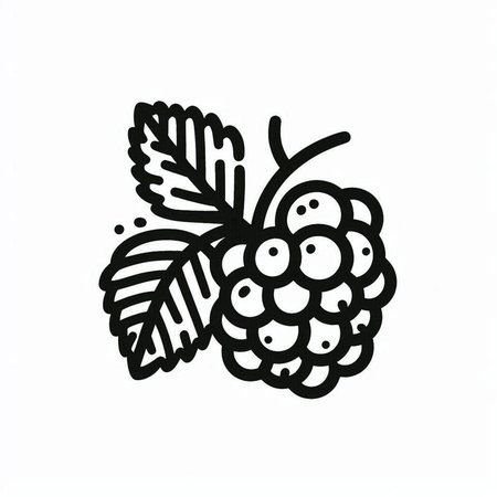 Hand drawn blackberry isolated on white background. Vector illustration in doodle style.