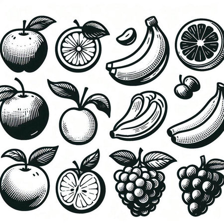 Fruits set. Hand drawn vector illustration in vintage engraved style.の写真素材