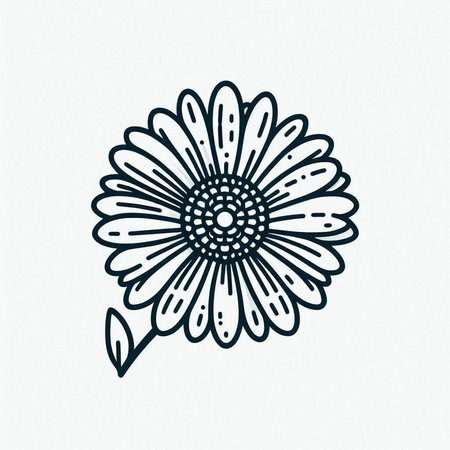 Hand drawn chamomile flower. Vector illustration. Line art.の写真素材