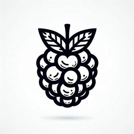 Raspberry icon. Hand drawn black berry. Vector illustration.の写真素材