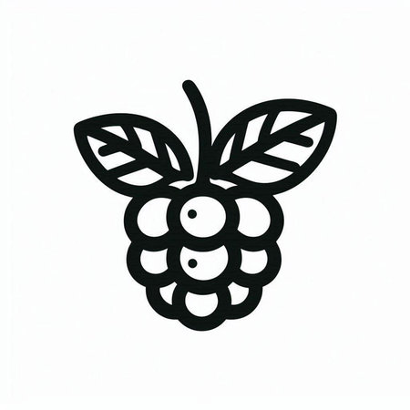 Blackberry icon. Hand drawn illustration of blackberry vector icon for web designの写真素材