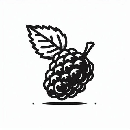 Blackberry icon. Hand drawn illustration of blackberry vector icon.の写真素材