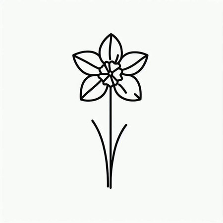 Elegant line art narcissus flower, design element. Can be used for cards, invitations, banners, posters, print design. Floral background in line art styleの写真素材