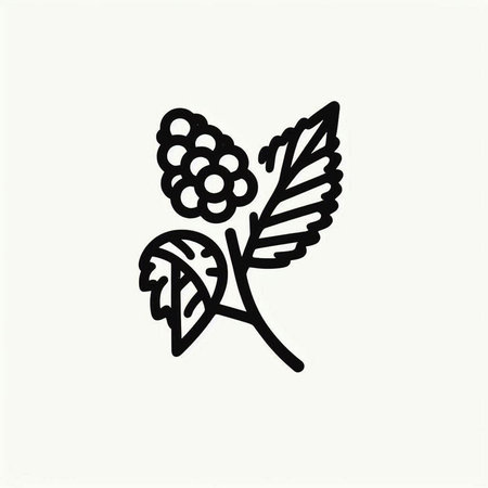 Blackberry vector icon. Hand drawn illustration of blackberry with leaves.