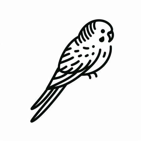 Budgerigar doodle icon on white background.