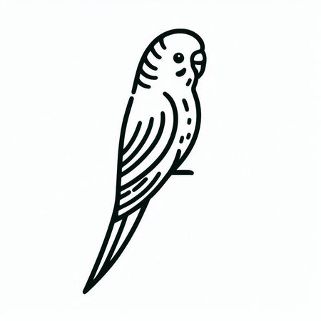 Parrot bird isolated on white background. Hand drawn vector illustration.