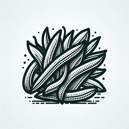 Aloe vera hand drawn vector illustration. Isolated on white background.の写真素材