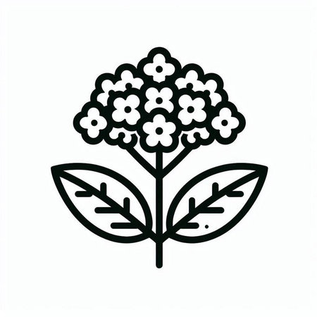 Flower icon on white background. Vector illustration. Flat design.の写真素材