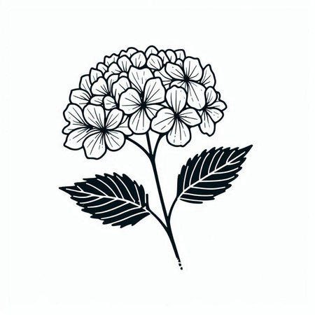 Hydrangea flower isolated on white background. Hand drawn vector illustration.