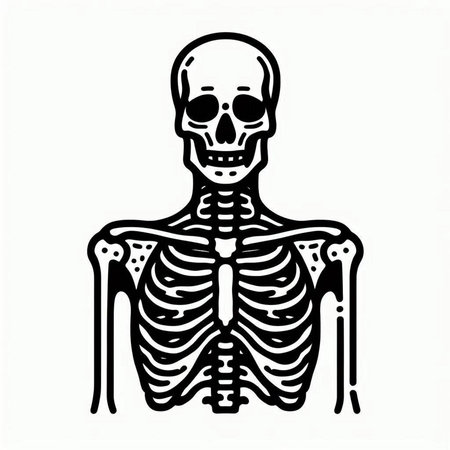 Human skeleton isolated on white background. Vector illustration. Eps 10.