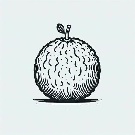 Citrus fruit. Hand drawn sketch style. Vector illustration.
