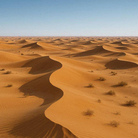 the empty quarter  and outdoor  sand  dune in oman old desert rub al khali