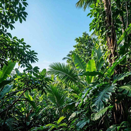 Tropical palm trees and blue sky in the jungle of Costa Rica